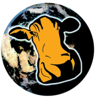 Creative COW